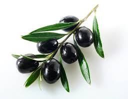 ประโยชน์ของมะกอกดำ (Black Olive Benefits)