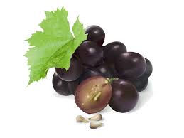 grape1