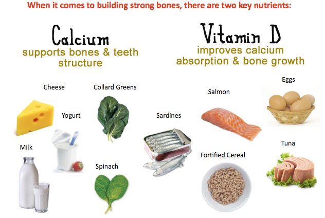 Foods-to-Build-Strong-Bones-and-Teeth