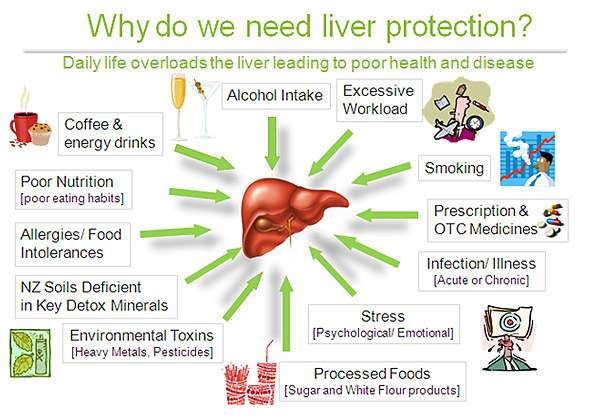 liver-overloads